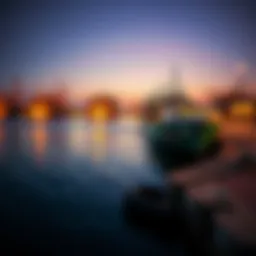 Al Wasl Port Views: A Reflection on Dubai's Maritime Evolution Introduction