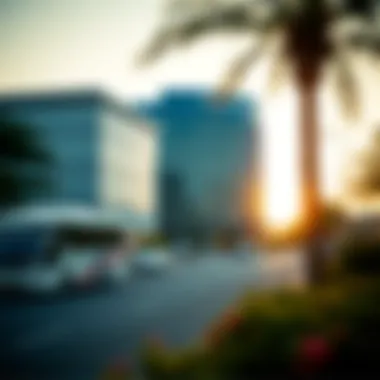 An In-Depth Examination of the International Modern Hospital (Al Raffa) in Dubai Summary