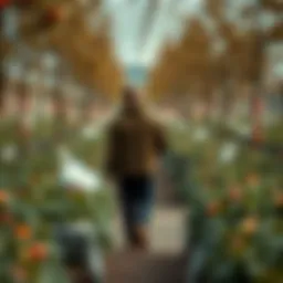 Exploring British Orchard Nursery Dip: A Comprehensive Analysis Introduction