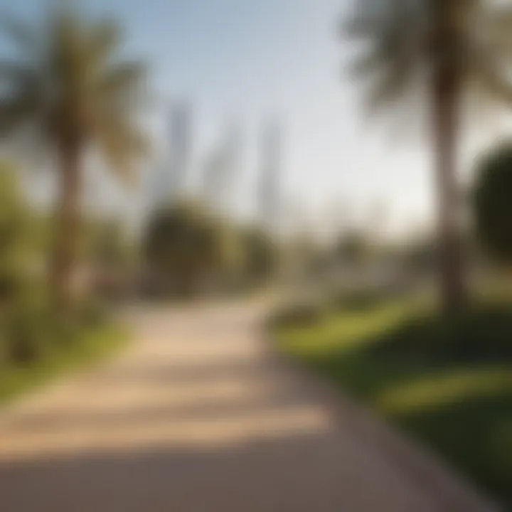 A peaceful community park in Dubai with families enjoying nature