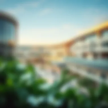 Cutting-edge Educational Facilities in Al Furjan Modern school facilities and infrastructure in Al Furjan