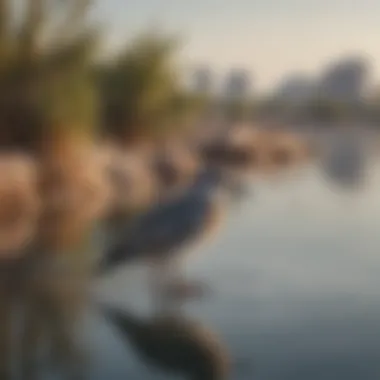 Migratory birds perched in the tranquil waters of Ras Al Khor, highlighting biodiversity.