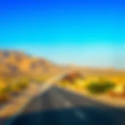 Exploring the Ras Al Khor Wildlife Sanctuary: Entry Fees and Visitor Insights Introduction