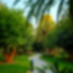 Lush greenery and pathways in Mashreq Park