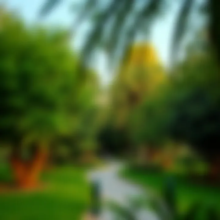 Lush greenery and pathways in Mashreq Park