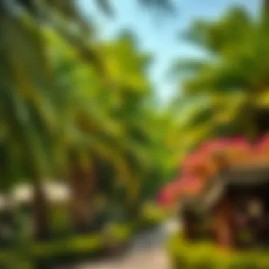 Stunning view of the lush greenery at Mushrif Park