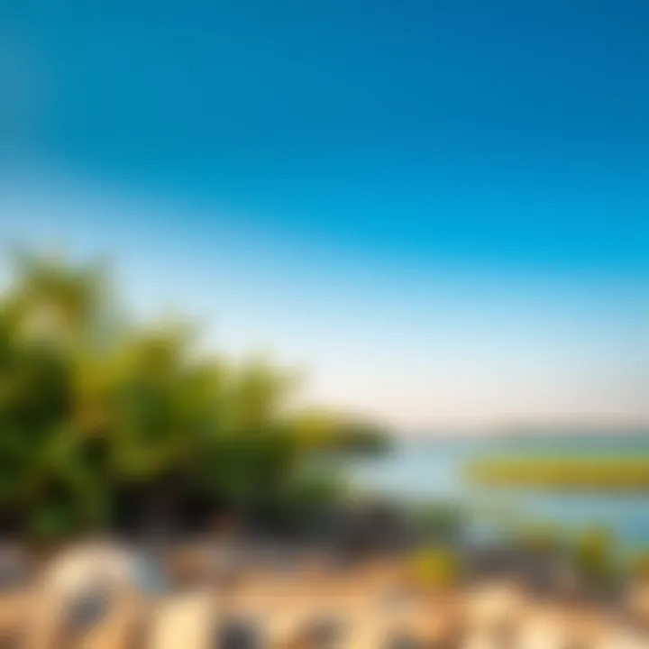 The vibrant mangroves of Ras Al Khor, a key ecological area thriving in urban surroundings.