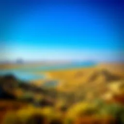 Panoramic view of Ras Al Khor wetlands showcasing diverse ecosystems