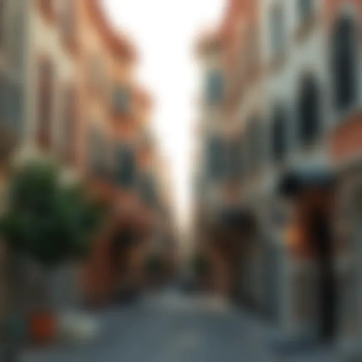 Architectural features highlighting the unique styles of Sheikh Colony Qusais