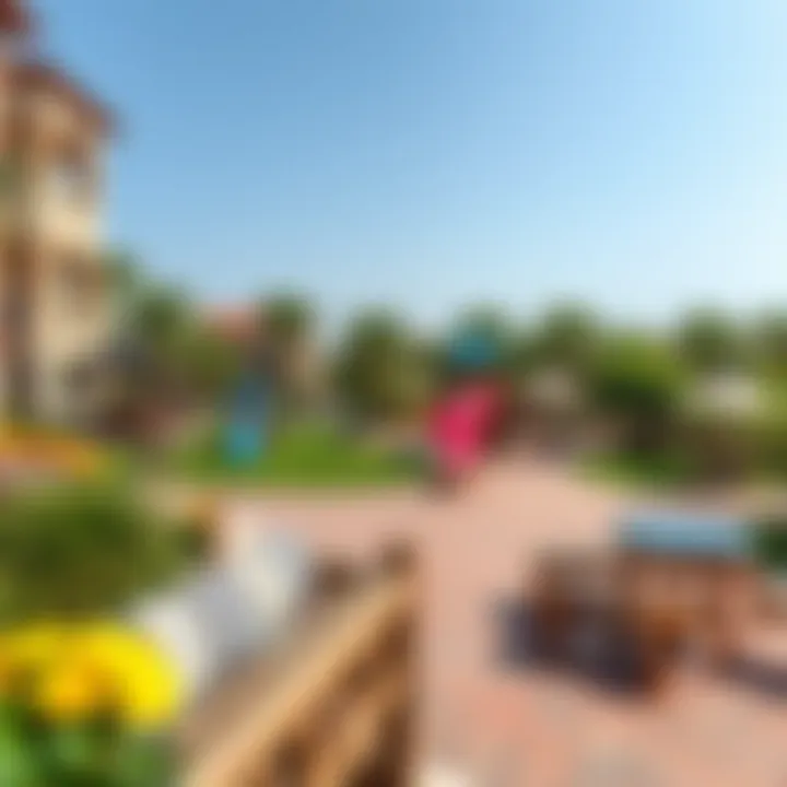 Community amenities in Damac Hills featuring recreational areas